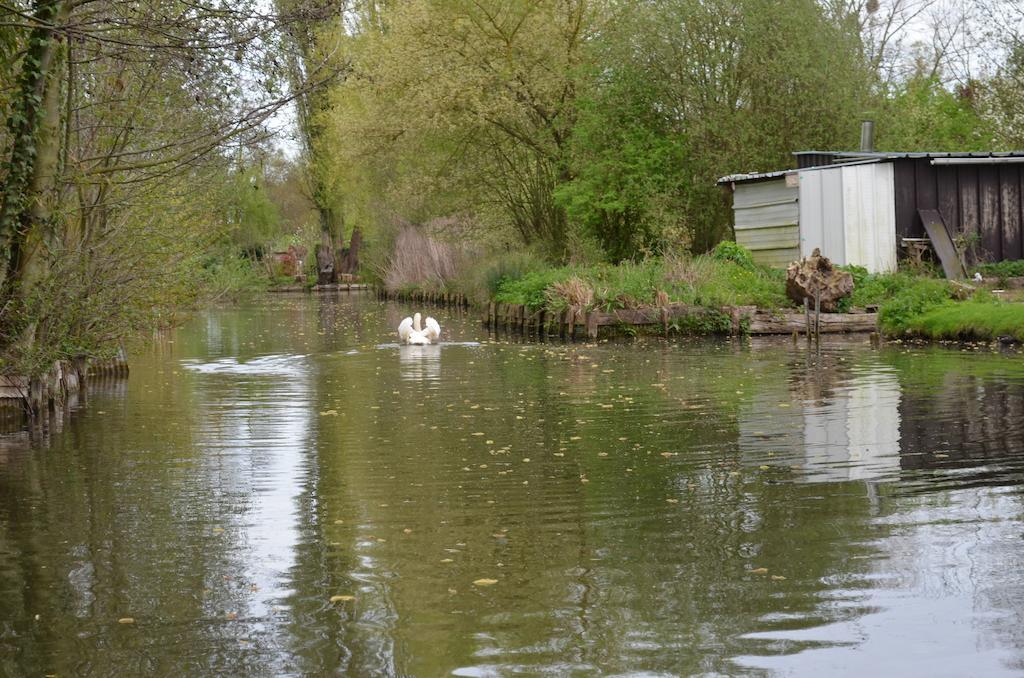 Hotel Aux Cygnes D'Opale Blangy-sur-Bresle Zewnętrze zdjęcie